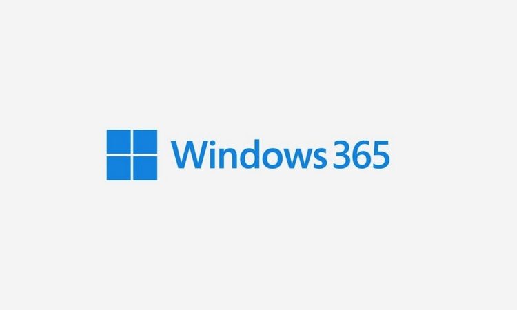 windows-365